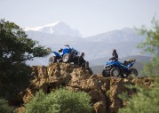Yamaha Wolverine 350 Yamaha Wolverine 350